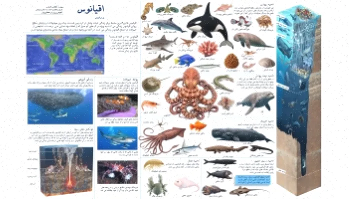 پوستر آموزشی اقیانوس: دانلود رایگان