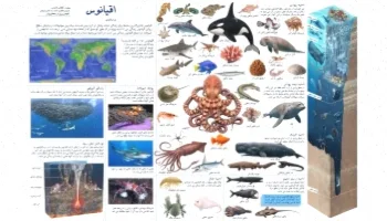 پوستر آموزشی اقیانوس: دانلود رایگان