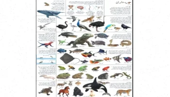 پوستر مهره داران: دانلود رایگان آموزش