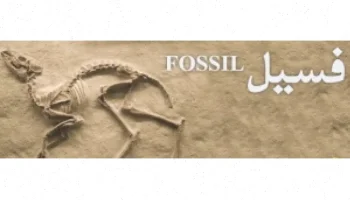 فسیل چیست؟ تعریف و انواع فسیل