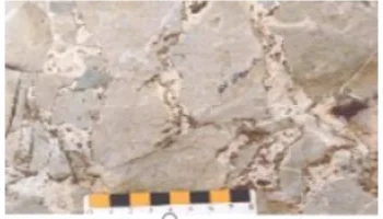 پاورپوینت کانسارهای سرب و روی: راهنمای کامل