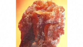 کانی‌شناسی کرومیت جنوبی ترکیه: بررسی جامع