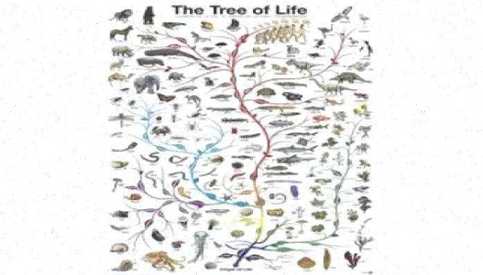 تکامل پاورپوینت: بررسی و تحلیل جامع