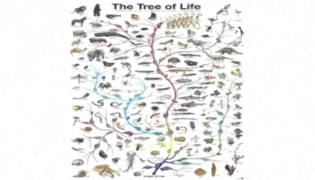 تکامل پاورپوینت: بررسی و تحلیل جامع