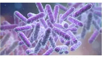 باکتری‌ها و نقش آن‌ها در بیماری‌زدایی
