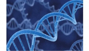 ساختار ژنوم: DNA، کروماتین و کروماتین