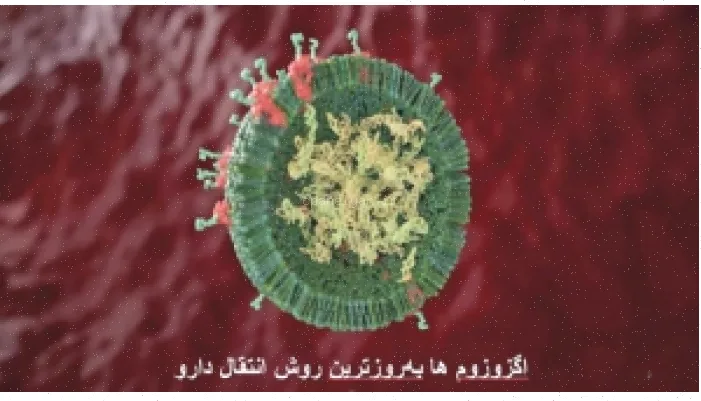 اگزوزوم، دارو، سرطان و درمان