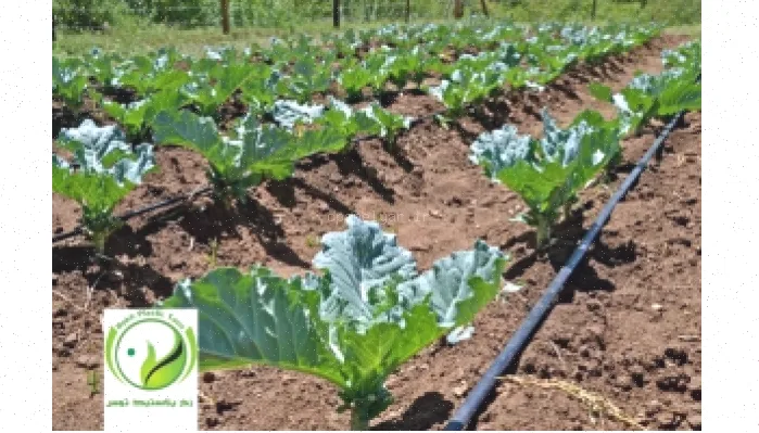 پاورپوینت طراحی سیستم آبیاری قطره‌ای - 109 اسلاید