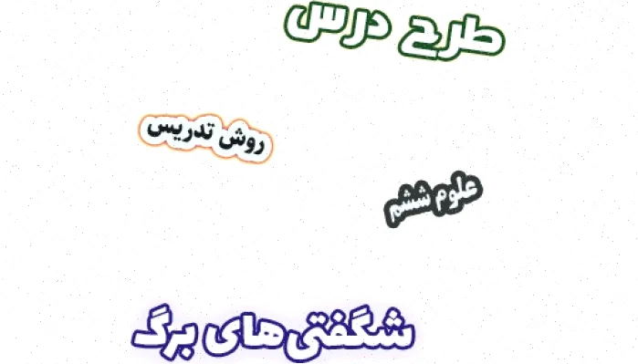 طرح درس علوم ششم: شگفتی‌های برگ