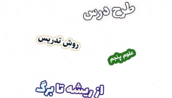 طرح درس علوم پنجم: ریشه تا برگ