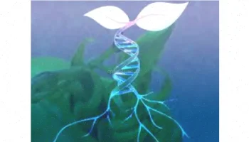 بیوتکنولوژی گیاهان تراریخت: راهنمای جامع