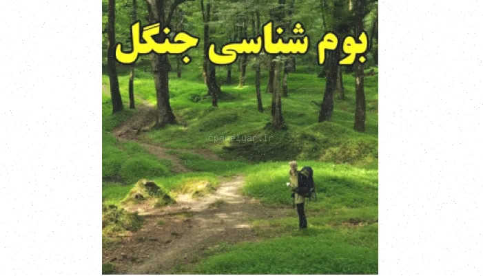 بوم‌شناسی جنگل: بررسی و شناخت