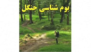 بوم‌شناسی جنگل: بررسی و شناخت