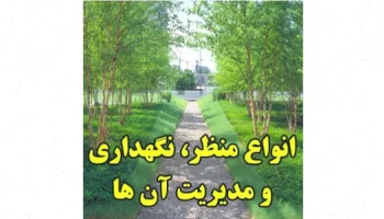 انواع منظر: نگهداری و مدیریت حرفه‌ای