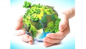 شوينده‌ها و تاثیرشان بر محیط زیست